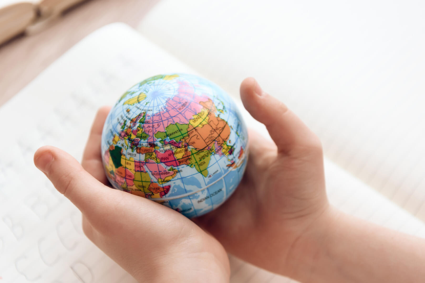 Educação para a cidadania global e as contribuições do currículo bilíngue