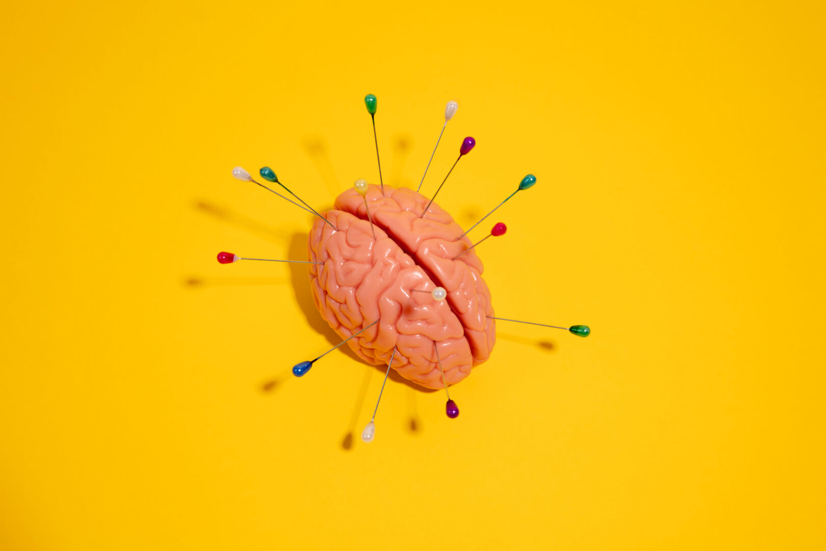 Plasticidade cerebral: remodelando a mente